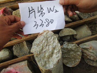 点击查看详细信息<br>标题：片岩W2细节图 阅读次数：12219